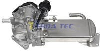 EGR MODULE - TENDA 10157