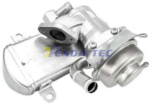 EGR MODULE - TENDA 10547