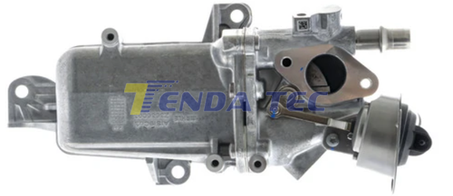 EGR MODULE - TENDA 10591