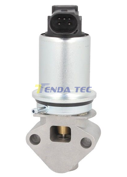 EGR VALVE - TENDA 20009