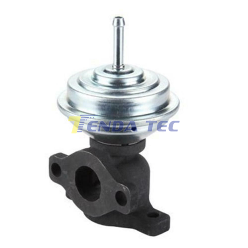 EGR VALVE - TENDA 20035