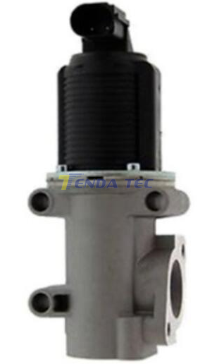 EGR VALVE - TENDA 20059