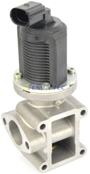 EGR VALVE - TENDA 20062