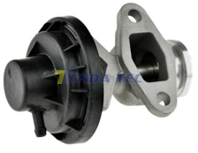 EGR VALVE - TENDA 20066