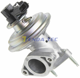 EGR VALVE - TENDA 20068