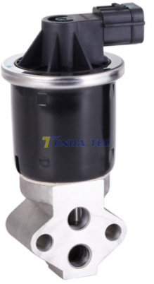 EGR VALVE - TENDA 20070