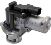 EGR VALVE - TENDA 20092