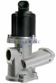 EGR VALVE - TENDA 20095