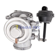 EGR VALVE - TENDA 20112