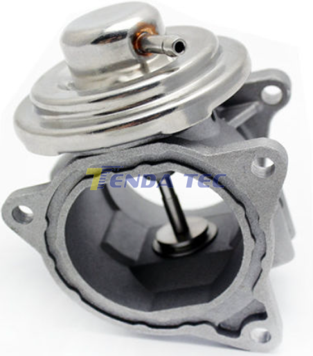 EGR VALVE - TENDA 20118