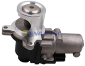 EGR VALVE - TENDA 20132