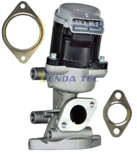 EGR VALVE - TENDA 20138