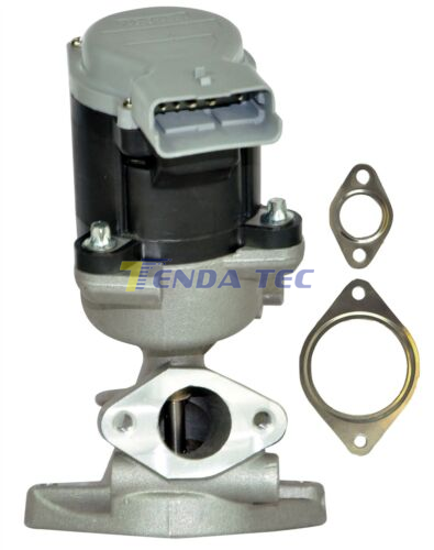 EGR VALVE - TENDA 20139