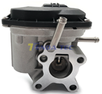 EGR VALVE - TENDA 20165