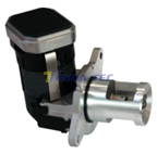 EGR VALVE - TENDA 20374