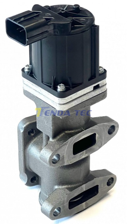 EGR VALVE - TENDA 20571