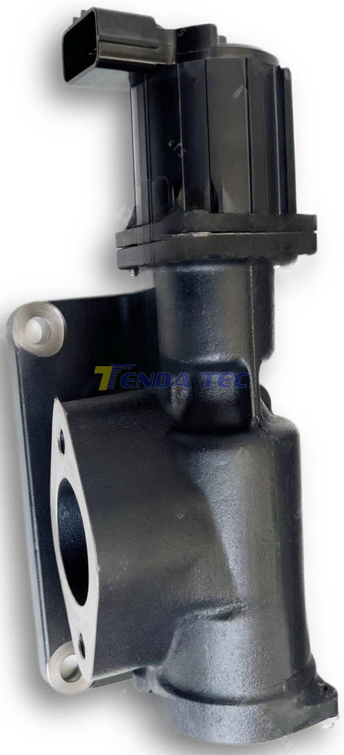 EGR VALVE - TENDA 20575