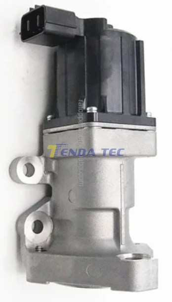 EGR VALVE - TENDA 20576