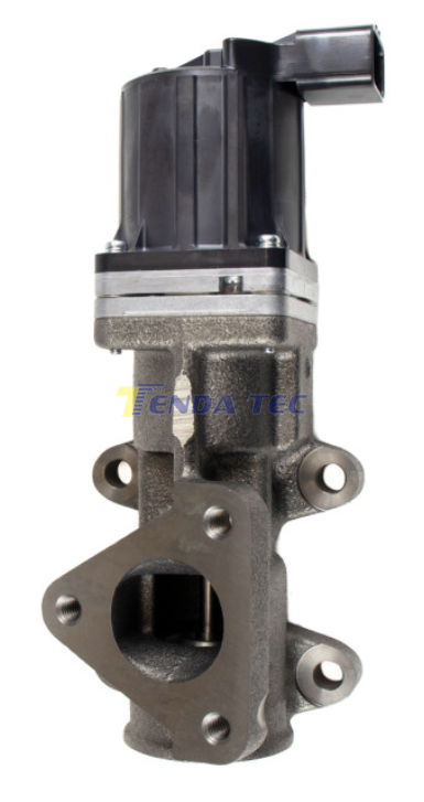 EGR VALVE - TENDA 20580