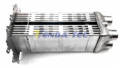 EGR COOLER CORE - TENDA 30049